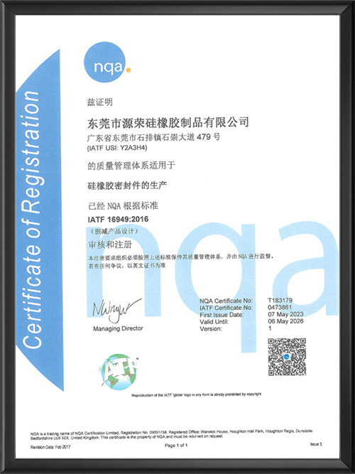 IATF 16949...